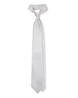 Full Paisley Light Silver Silk Tie