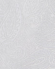 Full Paisley Light Silver Silk Tie