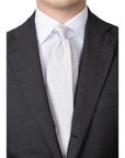 Full Paisley Light Silver Silk Tie